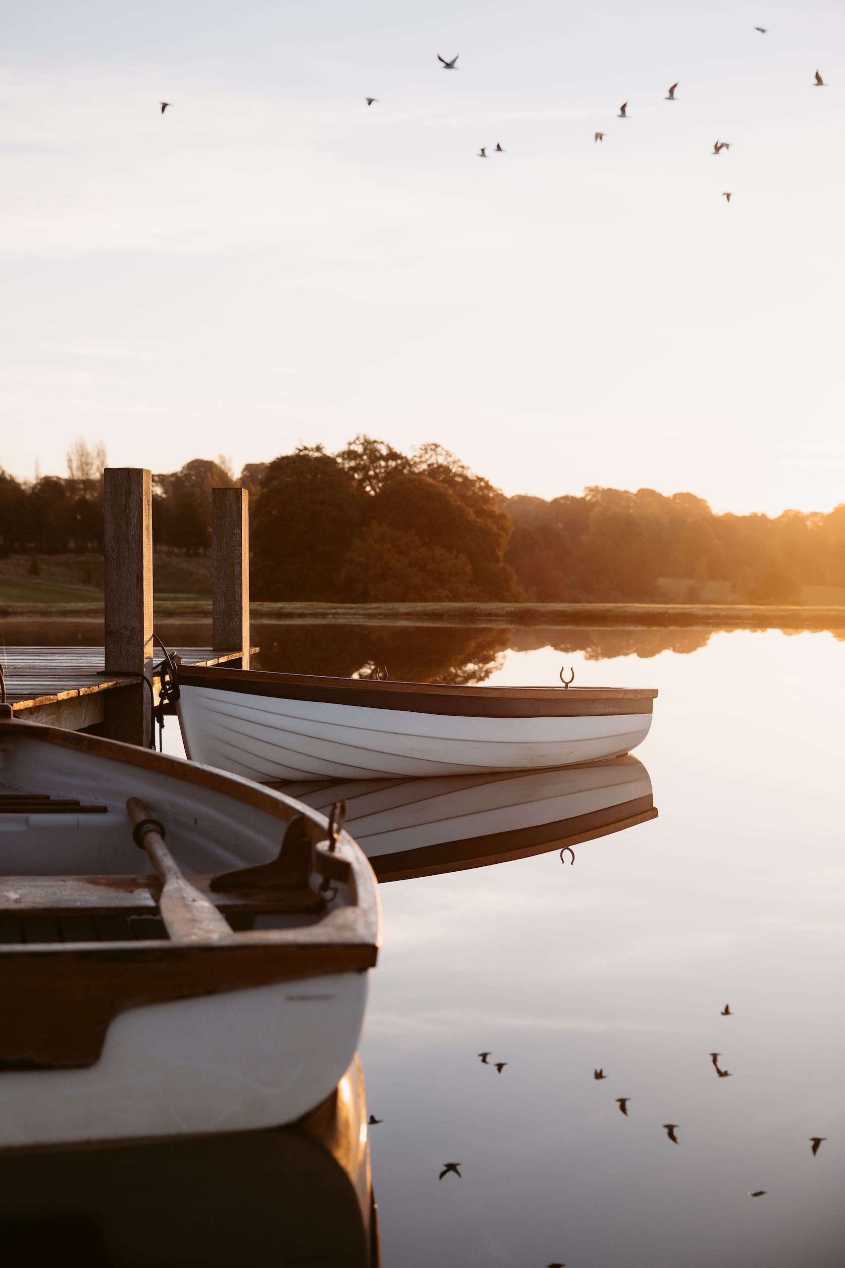 Two canoes tied to a dock at sunrise